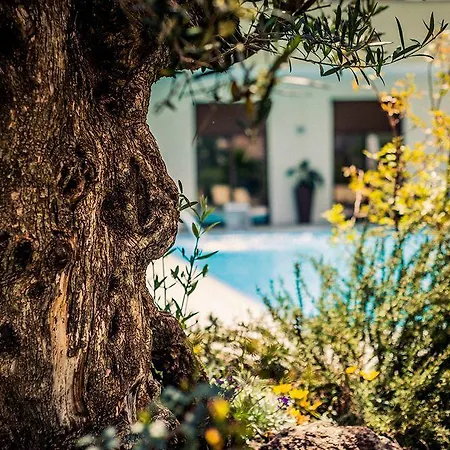 Hotel&spa Riviera Hotel 4*